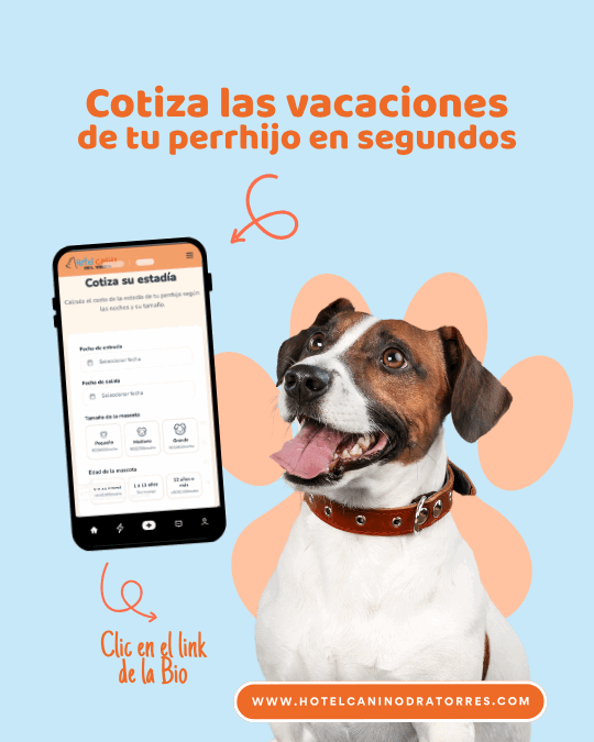 Cotiza vacaciones de tu perrhijo